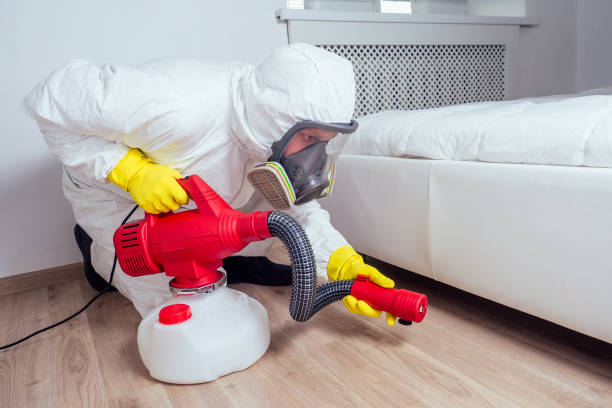 Best Pest Control Treatment  in Lufkin, TX